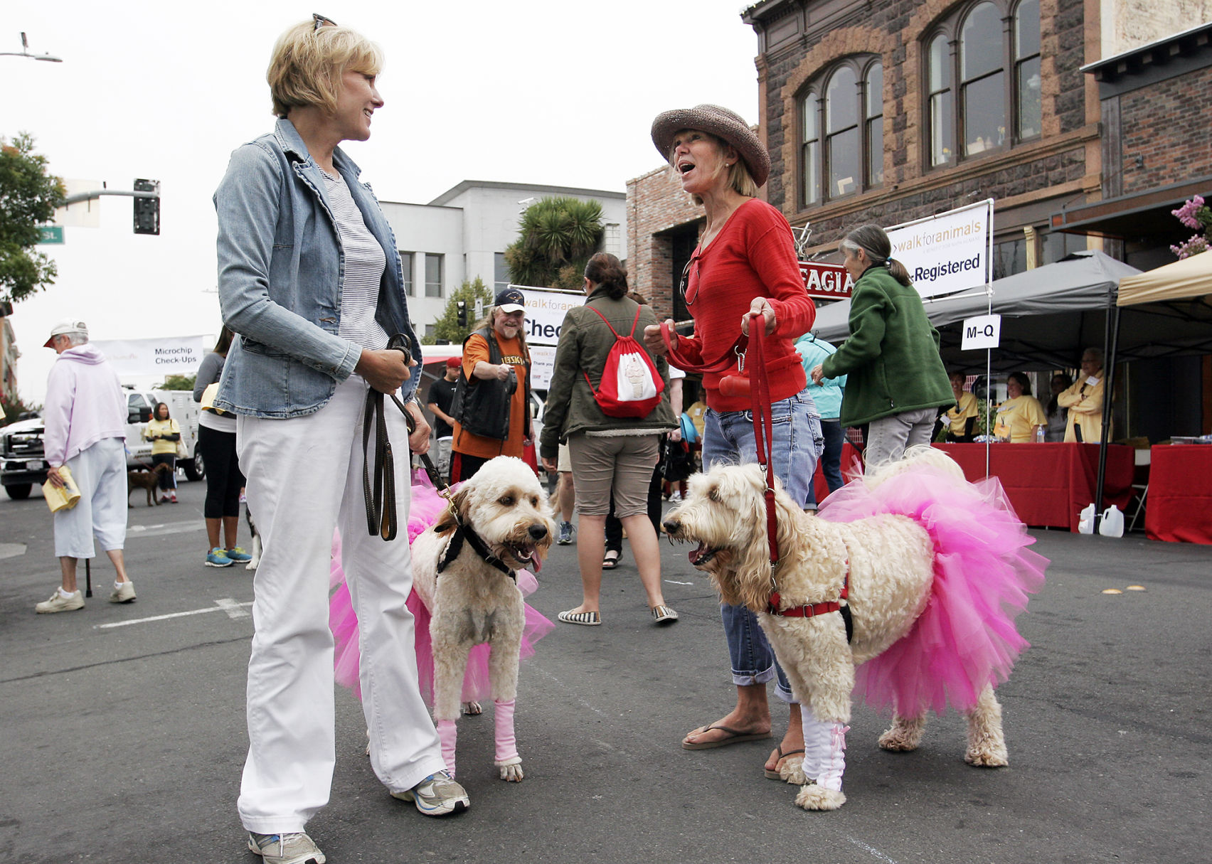 Walk for Animals 2014